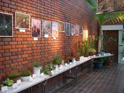 [�_��A�������H���A���W2009-�Q]