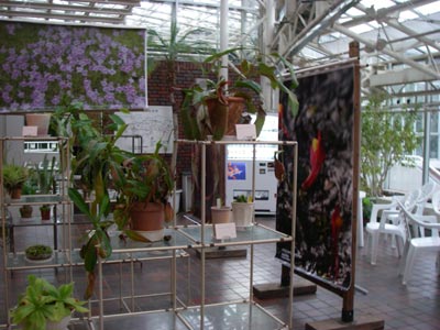 [�_��A�������H���A���W2009-�R]