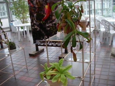 [�_��A�������H���A���W2009-�S]