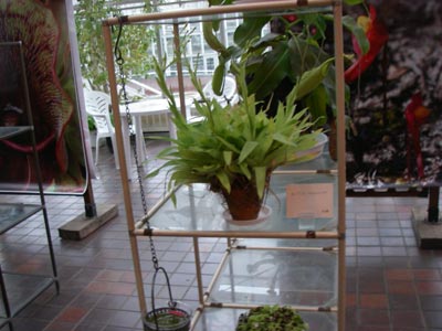 [�_��A�������H���A���W2009-�U]