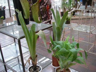 [�_��A�������H���A���W2009-�V]