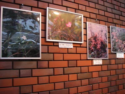 [�_��A�������H���A���W2009-�X]