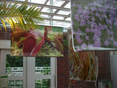 [�_��A�������H���A���W2009-�P�P]