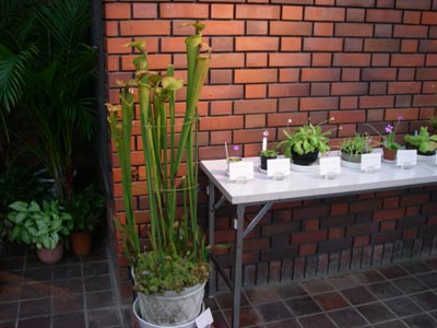 [�_��A�������H���A���W2009-�P�Q]