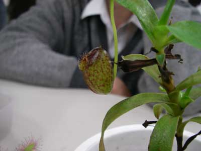 [�Q�O�P�O�N�x����ʐ^�R]