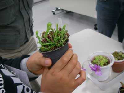 [�Q�O�P�O�N�x����ʐ^�S]