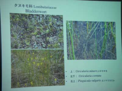 [�Q�O�P�O�N�x����ʐ^�X]