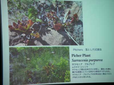 [�Q�O�P�O�N�x����ʐ^�P�O]