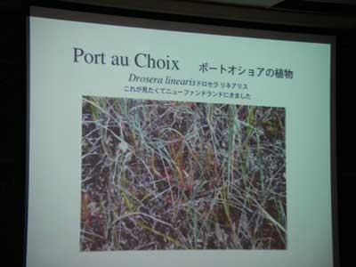 [�Q�O�P�O�N�x����ʐ^�P�P]