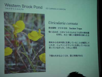 [�Q�O�P�O�N�x����ʐ^�P�Q]