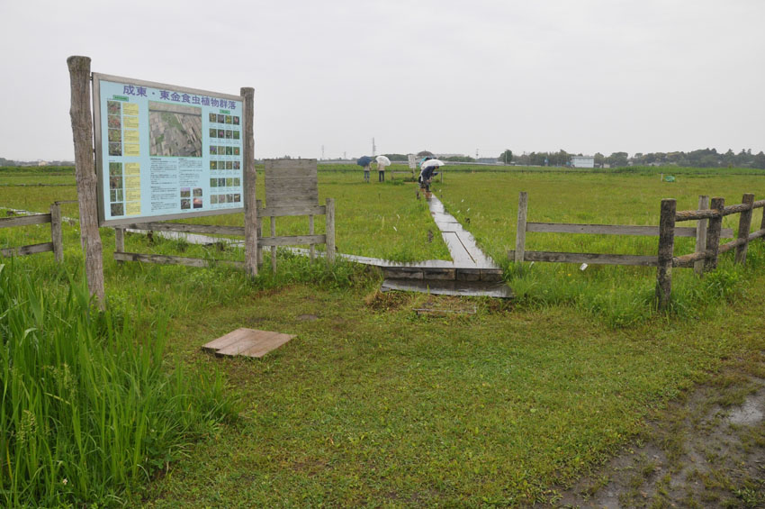 [�����E�����H���A���Q���n(�V�R�L�O��)���w��ʐ^�T]