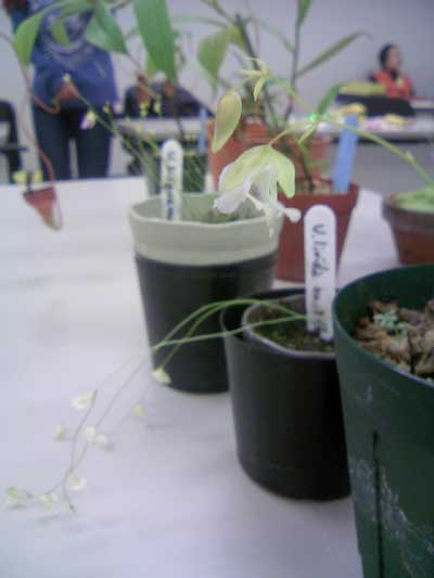 [�Q�O�P�P�H���A���������ʐ^�V]