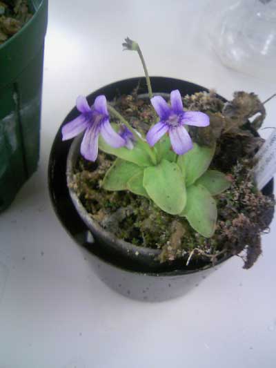 [�Q�O�P�P�H���A���������ʐ^�W]