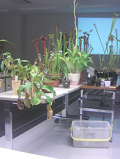 [���Ă̗��2011-�Q]