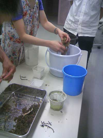 [���Ă̗��2011-�R]