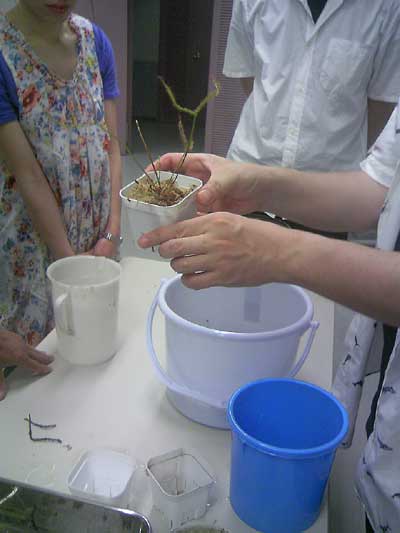 [���Ă̗��2011-�S]