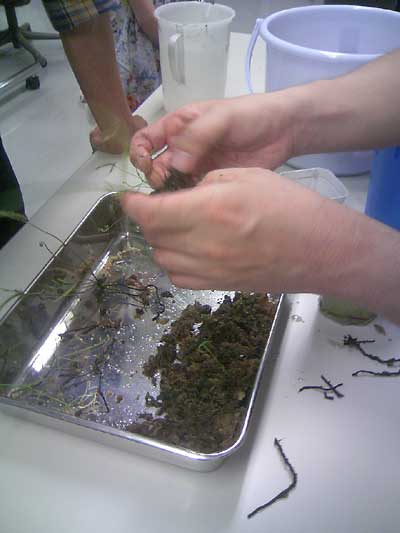 [���Ă̗��2011-�T]