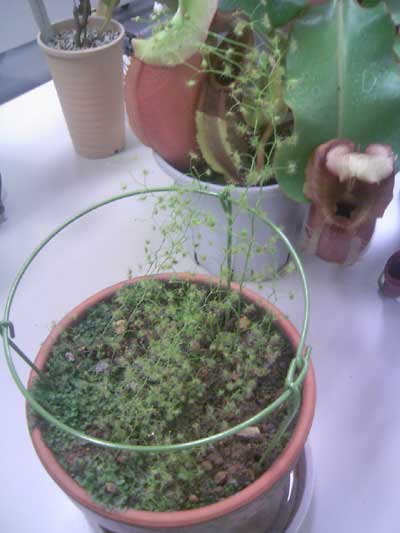 [���Ă̗��2011-�W]