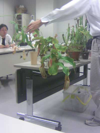 [���Ă̗��2011-�X]