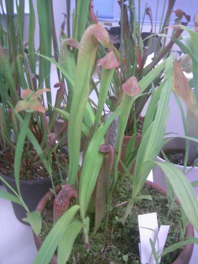 [���Ă̗��2011-�P�O]