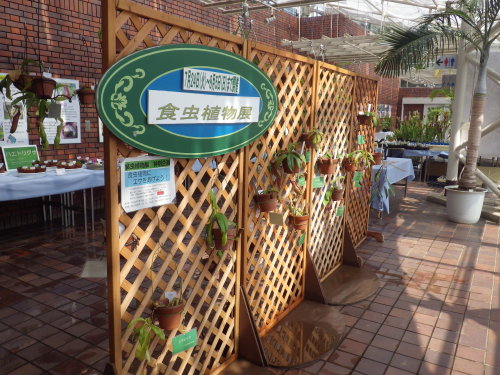 [�_��A�������H���A���W2012-�P]