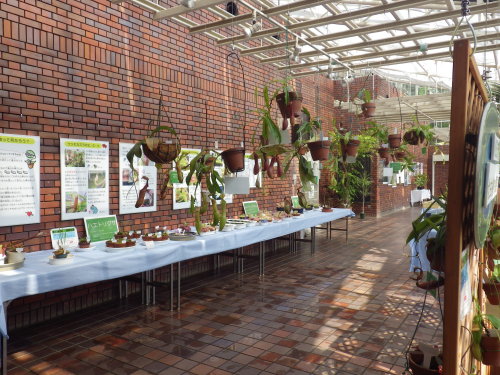 [�_��A�������H���A���W2012-�Q]