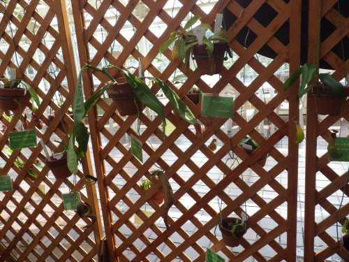 [�_��A�������H���A���W2012-�R]