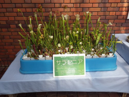 [�_��A�������H���A���W2012-�S]