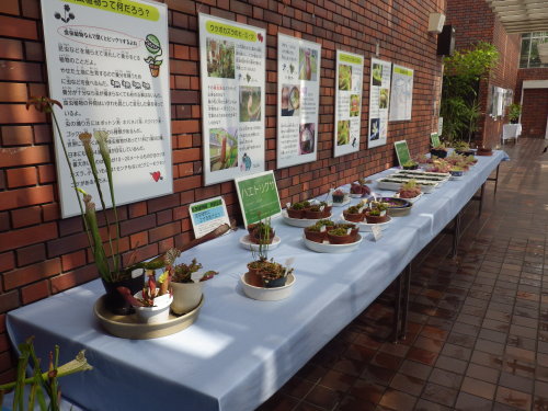 [�_��A�������H���A���W2012-�T]