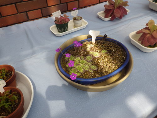 [�_��A�������H���A���W2012-�U]