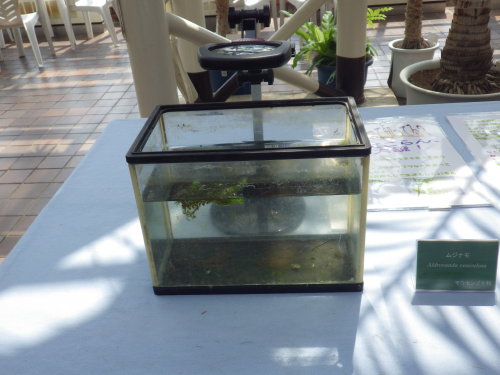 [�_��A�������H���A���W2012-�V]