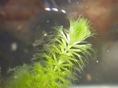 [�_��A�������H���A���W2012-�W]