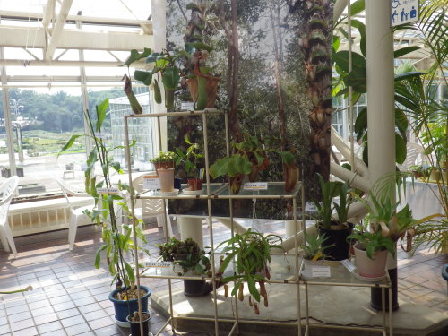 [�_��A�������H���A���W2012-�X]