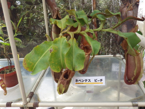 [�_��A�������H���A���W2012-�P�O]