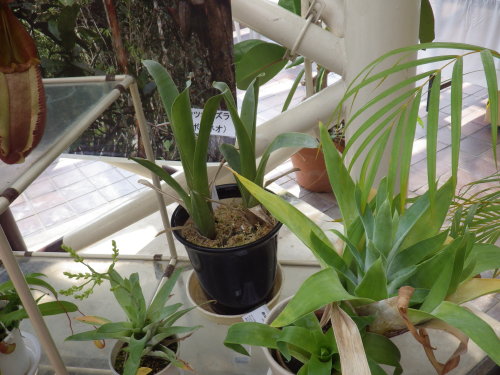 [�_��A�������H���A���W2012-�P�P]