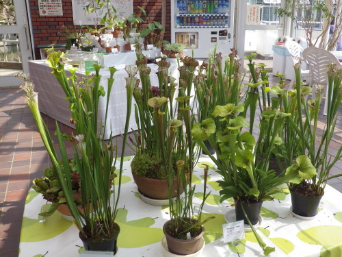 [�_��A�������H���A���W2012-�P�Q]