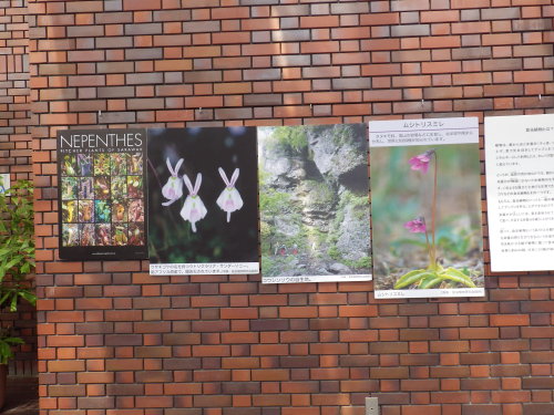 [�_��A�������H���A���W2012-13]