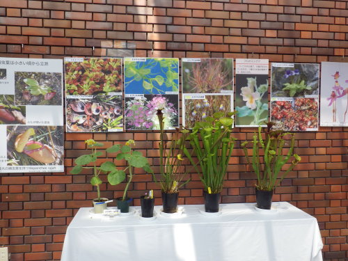 [�_��A�������H���A���W2012-15]