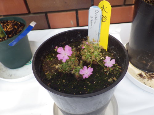 [�_��A�������H���A���W2012-16]