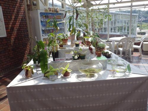 [�_��A�������H���A���W2012-17]