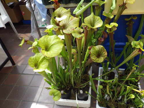 [�_��A�������H���A���W2012-21]