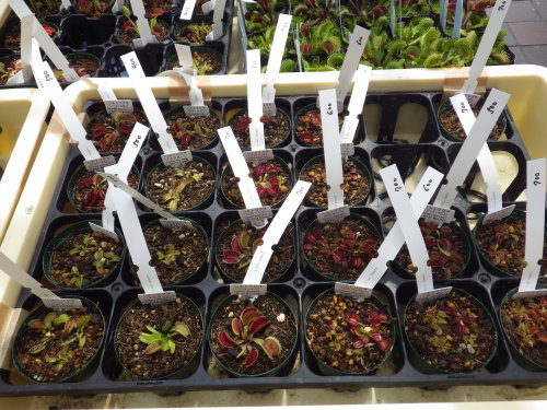 [�_��A�������H���A���W2012-25]