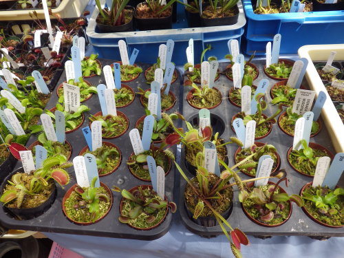 [�_��A�������H���A���W2012-26]