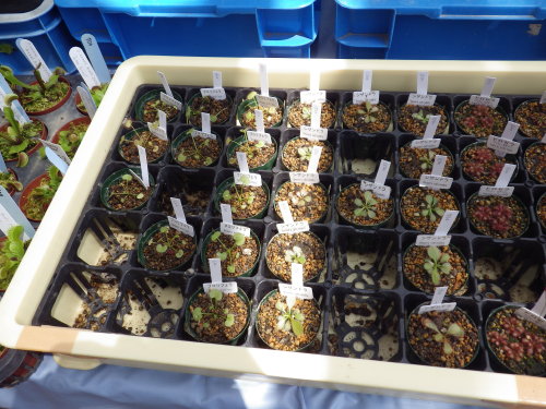 [�_��A�������H���A���W2012-27]