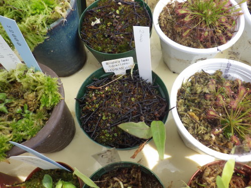 [�_��A�������H���A���W2012-28]