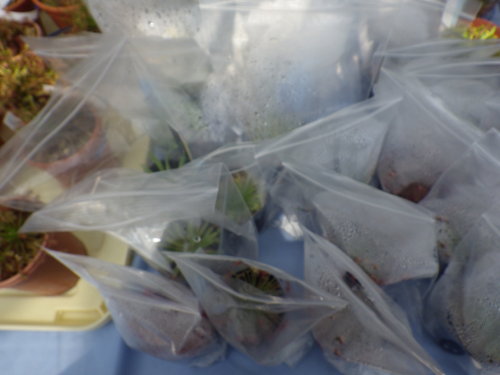 [�_��A�������H���A���W2012-29]