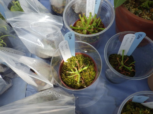 [�_��A�������H���A���W2012-30]