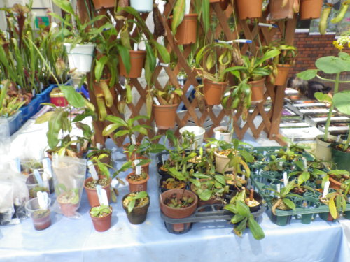 [�_��A�������H���A���W2012-31]