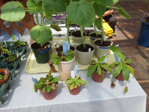 [�_��A�������H���A���W2012-32]