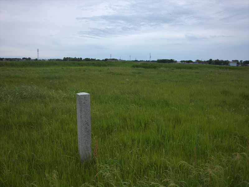 成東東金食虫植物群生地見学会